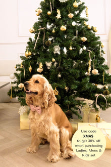  Taylor Crinkle Cotton Gingham Christmas Dog Bow